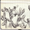 Cadeques Field Sketch 4