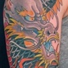 Dragon sleeve