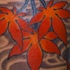 Maple Leave Tattoo / Tatuagem de folhas de Acer