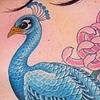Peacock Packpiece