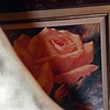Red Roses