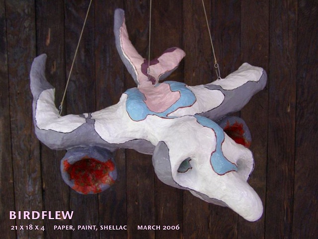 birdflew
