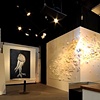 Workspace Gallery