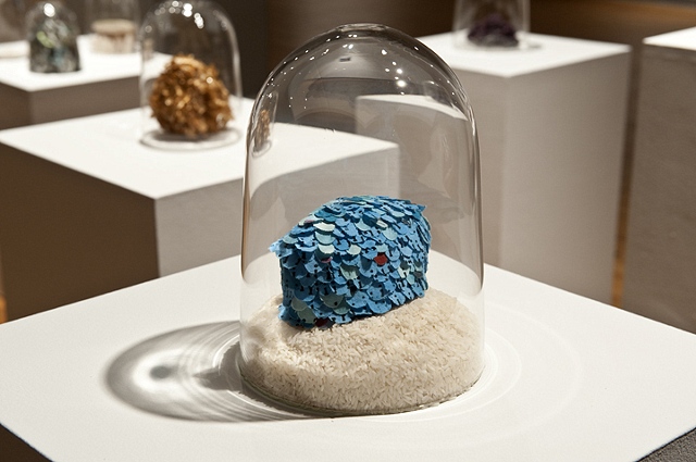 Splash Image