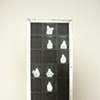 Light Bulb Case