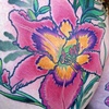 Heather's Lily