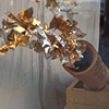 All That Glitters: A Window for 826 Valencia's Pirate Store