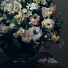 Floral and Insects