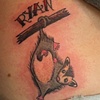 Ryan's possum