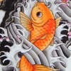 koi sleeve