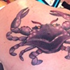 Crab Cover After