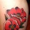 Poppies
