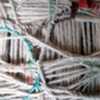 Wool Box 4, Detail