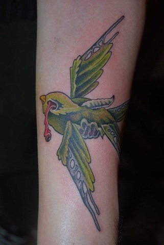 Zombie bird