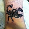 scorpion