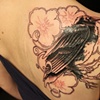 cover up #3