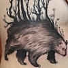 ah-bear-i-ca!