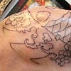 koi sleeve 3
