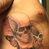 Skulls on rib area