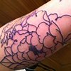 in progess peony/shishi