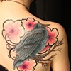 covered up