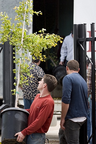 Planting Seeds: The Bayview Operahouse Installation