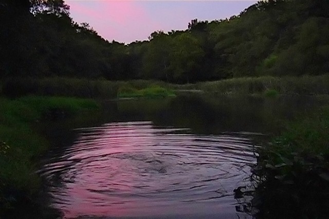 Virginia Niche (Left Channel)