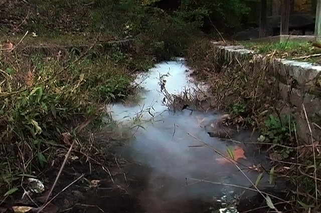 Virginia Niche (Right Channel)