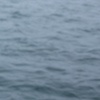 Distances (2012)