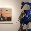 Future Darwinist installation view 4