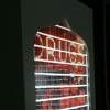 Future Darwinist installation view 6