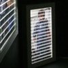 Future Darwinist installation view 5