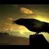 Four and Twenty Blackbirds Series