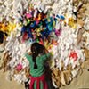 Project Gallery