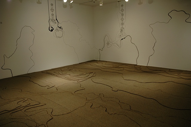 Domestic Landscapes