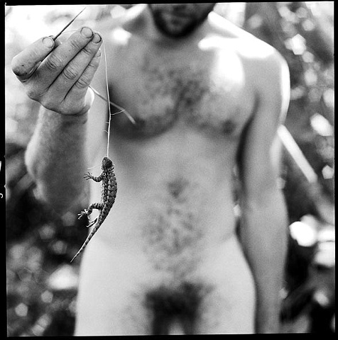 lizard