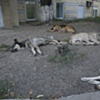 ukraine 2007