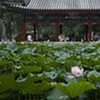 beijing 2007