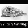 Pencil Drawings
