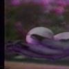 stills from "Passing the Egg" 1991