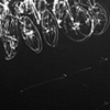 Bicycles